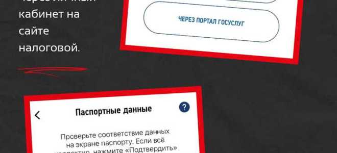 Госуслуги как получить права руководителя организации