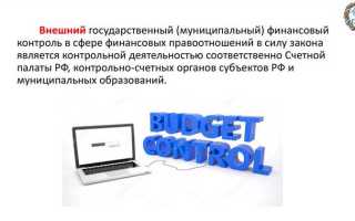 Кто осуществляет финансовый контроль в рф