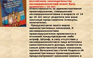 В течении какого времени можно привлечь к административной ответственности