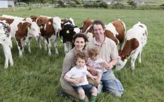 На основании чего действует кфх