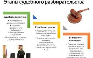 Процессуальное положение по делу что это