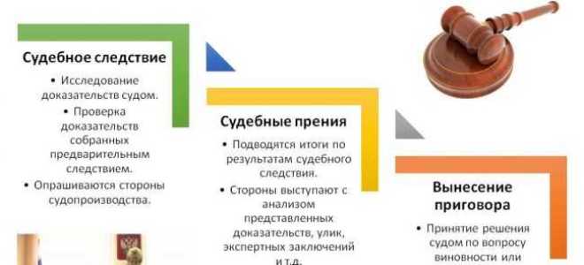 Процессуальное положение по делу что это