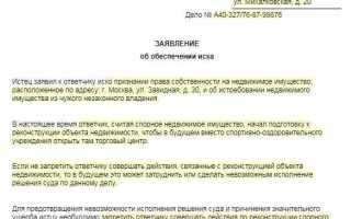 Наложение ареста на денежные средства как обеспечительная мера