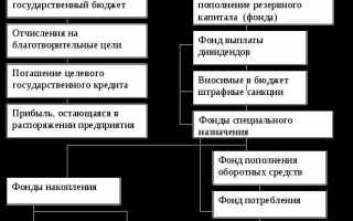 Распределенная прибыль ооо где отражается