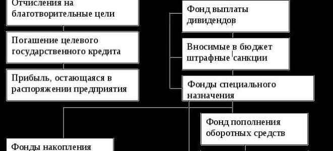 Распределенная прибыль ооо где отражается