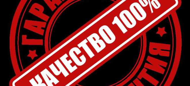 С какого момента исчисляется гарантийный срок