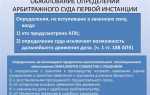 Как действует на стадии апелляционного обжалования принцип состязательности