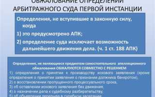 Как действует на стадии апелляционного обжалования принцип состязательности