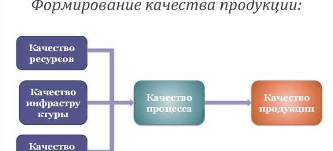 Что является первым требованием к качеству осуществления деятельности
