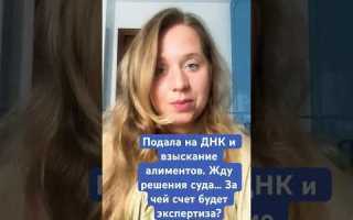 За чей счет будет проводиться исследование