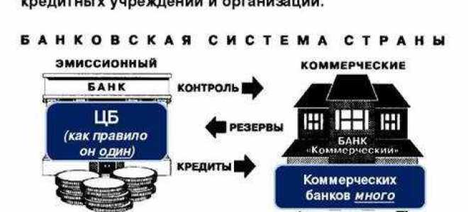 Иная финансовая организация кто к ним относится