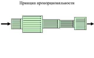 Какой принцип имеет ограниченное действие в упрощенном производстве
