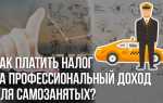 Налогоплательщик на профессиональный доход что это