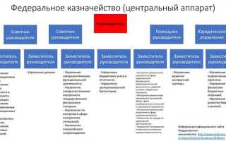 Федеральное казенное учреждение что это
