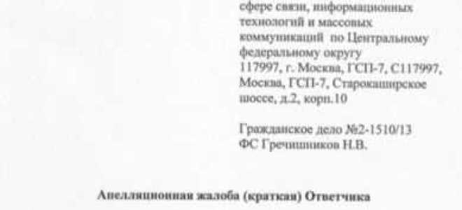 Как подать апелляцию на решение суда