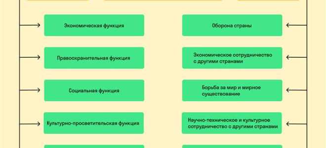 Какая из указанных функций отсутствует у государства
