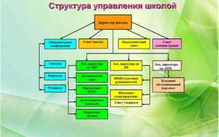 Как образовательная организация формирует свою структуру