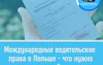 Как получить международные водительские права