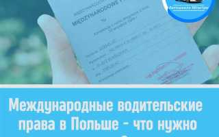Как получить международные водительские права