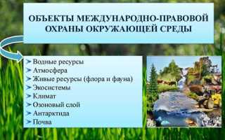Что не относится к деятельности направленной на охрану окружающей среды