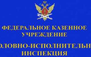 Уголовно исполнительная инспекция чем занимается