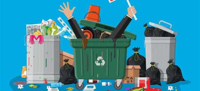 Как стать региональным оператором по вывозу мусора