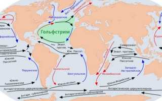 Какие из перечисленных доводов не относятся к вновь открывшимся обстоятельствам