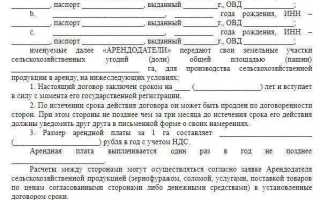 Как оформить договор аренды земельного участка