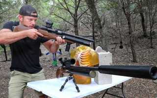 Где можно стрелять из воздушки по закону