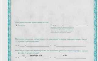 Сколько действует справка от терапевта