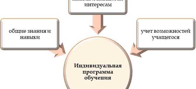 Что включает в себя образовательная программа