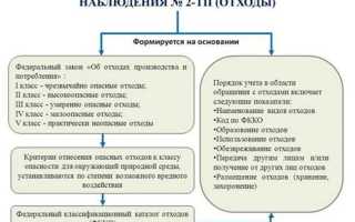 Форма 2 транспорт кто сдает