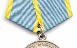 Медаль нестерова за что награждают