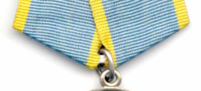 Медаль нестерова за что награждают