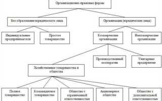 Юридические лица в состав исполнительных органов которых входят дисквалифицированные лица