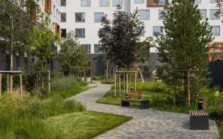 Как подать заявку на благоустройство двора