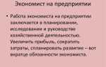 Какие плановые документы составляет экономист бюджетного учреждения