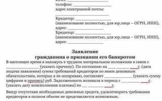 Банкротство физических лиц когда ввели