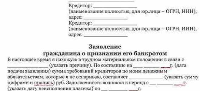 Банкротство физических лиц когда ввели