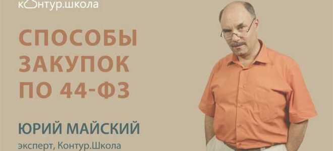 Преподавательские услуги по 44 фз что входит