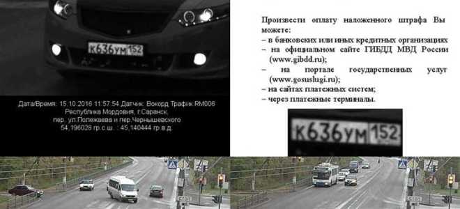 Какой штраф за стоп линию