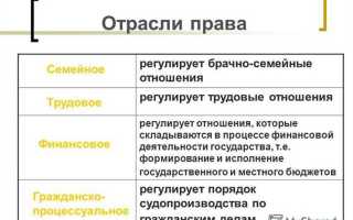 На какие две группы можно разделить отрасли права
