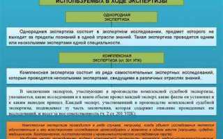 Что такое экспедиция в суде