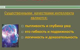 Что понимается под интеллектуальной деятельностью и ее результатами