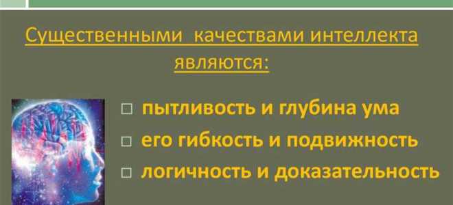 Что понимается под интеллектуальной деятельностью и ее результатами