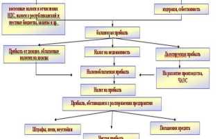 Как распределить долю в ооо принадлежащую обществу