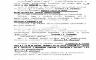 Что делать если в протоколе об административном правонарушении допущены ошибки