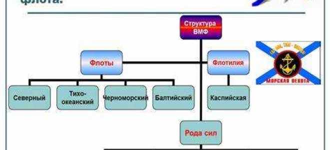 Осуществление мер по обеспечению обороны страны осуществляет кто