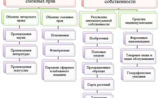Фотография как объект интеллектуальной собственности