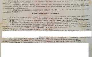 Как проверить брачный договор на действительность